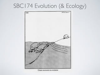 SBC174 Evolution (& Ecology) 
 