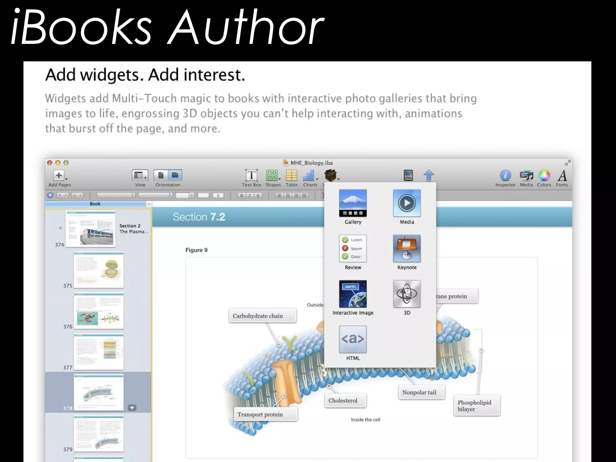 iBooks Author
 