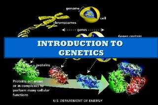 INTRODUCTION TOINTRODUCTION TO
GENETICSGENETICS
 