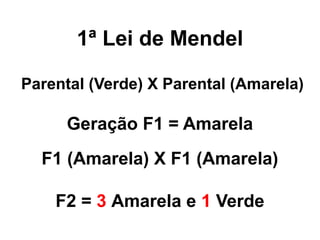 1ª Lei de Mendel
Parental (Verde) X Parental (Amarela)
Geração F1 = Amarela
F2 = 3 Amarela e 1 Verde
F1 (Amarela) X F1 (Amarela)
 