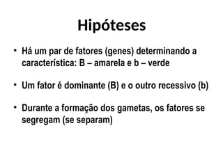 Hipóteses
• Há um par de fatores (genes) determinando a
característica: B – amarela e b – verde
• Um fator é dominante (B) e o outro recessivo (b)
• Durante a formação dos gametas, os fatores se
segregam (se separam)
 