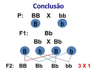 Conclusão
P: BB X bb
F1: Bb
Bb X Bb
B b
B b B b
BB Bb Bb bb
F2: 3 X 1
 