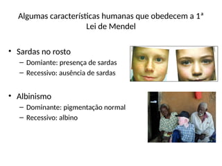 Algumas características humanas que obedecem a 1ª
Lei de Mendel
• Sardas no rosto
– Domiante: presença de sardas
– Recessivo: ausência de sardas
• Albinismo
– Dominante: pigmentação normal
– Recessivo: albino
 