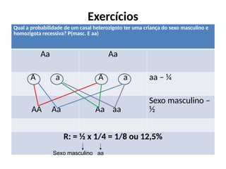 Exercícios
Qual a probabilidade de um casal heterozigoto ter uma criança do sexo masculino e
homozigota recessiva? P(masc. E aa)
Aa Aa
A a A a aa – ¼
AA Aa Aa aa
Sexo masculino –
½
R: = ½ x 1/4 = 1/8 ou 12,5%
Sexo masculino aa
 