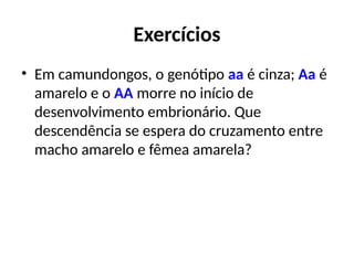 Exercícios
• Em camundongos, o genótipo aa é cinza; Aa é
amarelo e o AA morre no início de
desenvolvimento embrionário. Que
descendência se espera do cruzamento entre
macho amarelo e fêmea amarela?
 
