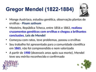 Gregor Mendel (1822-1884)
• Monge Austríaco, estudou genética, observação plantas de
ervilhas - Pisum sativum
• Mosteiro, República Tcheca, entre 1856 e 1863, realizou
cruzamentos genéticos com ervilhas e chegou a brilhantes
conclusões, Leis de Mendel
• Começou com ratos, teve problemas, passou a ervilhas
• Seu trabalho foi apresentado para a comunidade científica
em 1865, não foi compreendido e nem valorizado
• A partir de 1900 (dezesseis anos após sua morte), Mendel
teve seu mérito reconhecido e confirmado
 