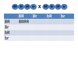 BR Br bR br
BR BBRR
Br
bR
br
BR Br bR br BR Br bR br
X
 