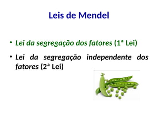 • Lei da segregação dos fatores (1ª Lei)
• Lei da segregação independente dos
fatores (2ª Lei)
Leis de Mendel
 