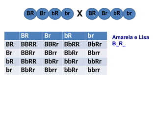 BR Br bR br
BR BBRR BBRr BbRR BbRr
Br BBRr BBrr BbRr Bbrr
bR BbRR BbRr bbRr bbRr
br BbRr Bbrr bbRr bbrr
BR Br bR br BR Br bR br
X
Amarela e Lisa
B_R_
 