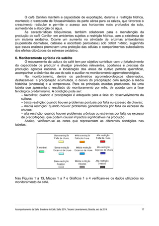 O café Conilon mantém a capacidade de exportação, durante a restrição hídrica,
mantendo o transporte de fotoassimilados da parte aérea para as raízes, que favorece o
crescimento radicular e permite o acesso aos horizontes mais profundos do solo,
aumentando a absorção de água.
As características bioquímicas, também colaboram para a manutenção da
produção do café Conilon em ambientes sujeitos a restrição hídrica, com a existência de
um sistema oxidativo. Ocorre um aumento na atividade de enzimas antioxidantes
(superóxido dismutase, catalase e ascorbato peroxidase) sob deficit hídrico, sugerindo
que essas enzimas promovem uma proteção das células e compartimentos subcelulares
dos efeitos citotóxicos do estresse oxidativo.
6. Monitoramento agrícola via satélite
O mapeamento da cultura do café tem por objetivo contribuir com o fortalecimento
da capacidade de produzir e divulgar previsões relevantes, oportunas e precisas da
produção agrícola nacional. A localização das áreas de cultivo permite quantificar,
acompanhar a dinâmica do uso do solo e auxiliar no monitoramento agrometeorológico.
No monitoramento, dentre os parâmetros agrometeorológicos observados,
destacam-se: a precipitação acumulada, o desvio da precipitação com relação à média
histórica (anomalia) e a temperatura. Para os principais estados produtores, há uma
tabela que apresenta o resultado do monitoramento por mês, de acordo com a fase
fenológica predominante. A condição pode ser:
– favorável: quando a precipitação é adequada para a fase do desenvolvimento da
cultura;
– baixa restrição: quando houver problemas pontuais por falta ou excesso de chuvas;
– média restrição: quando houver problemas generalizados por falta ou excesso de
chuvas;
– alta restrição: quando houver problemas crônicos ou extremos por falta ou excesso
de precipitações, que podem causar impactos significativos na produção.
Abaixo, verificam-se as cores que representam as diferentes condições nas
tabelas:
Nas Figuras 1 a 13, Mapas 1 a 7 e Gráficos 1 a 4 verificam-se os dados utilizados no
monitoramento do café.
Acompanhamento da Safra Brasileira de Café, Safra 2014, Terceiro Levantamento, Brasília, set. de 2014. 17
 
