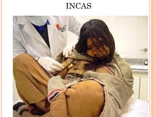INCAS
 