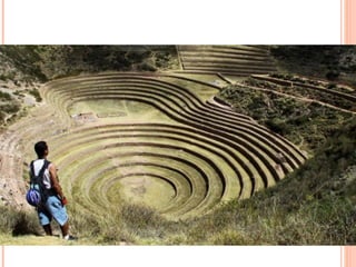 2014  maias, astecas e incas