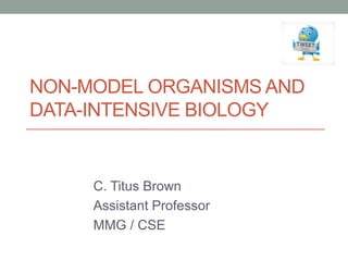 NON-MODEL ORGANISMS AND 
DATA-INTENSIVE BIOLOGY 
C. Titus Brown 
Assistant Professor 
MMG / CSE 
 
