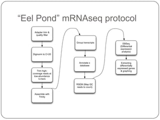“Eel Pond” mRNAseq protocol
Adapter trim &
quality ﬁlter
Group transcripts

EBSeq
(Differential
expression
analysis)

Diginorm to C=20

Annotate x
database
Trim highcoverage reads at
low-abundance
k-mers
RSEM (Map QC
reads to count)
Assemble with
Trinity

Extracting
differentially
expressed genes
& graphing

 