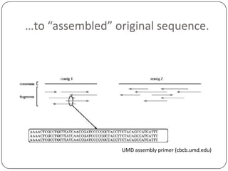 …to “assembled” original sequence.

UMD assembly primer (cbcb.umd.edu)

 