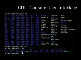 CUI - Console User Interface
 