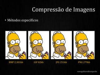 • Métodos específicos
Compressão de Imagens
BMP 2,301kb GIF 82kb JPG 251kb PNG 279kb
wmagalhaes@unipar.br
 