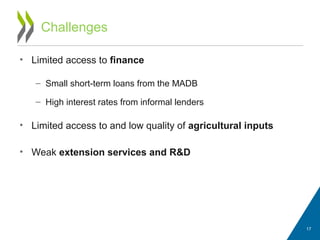 Challenges
• Limited access to finance
– Small short-term loans from the MADB
– High interest rates from informal lenders
• Limited access to and low quality of agricultural inputs
• Weak extension services and R&D
17
 