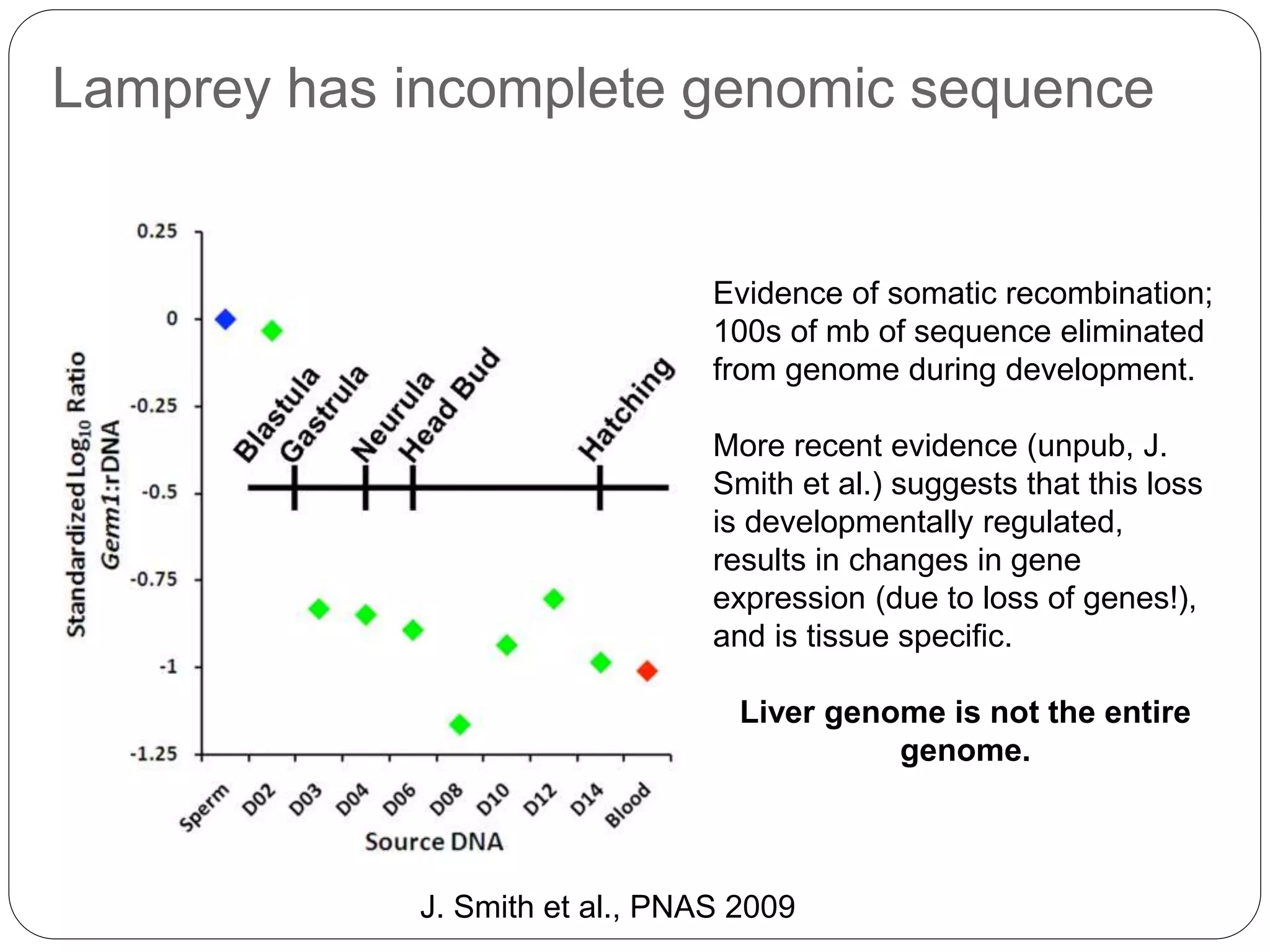 Lamprey has incomplete genomic sequence
J. Smith et al., PNAS 2009
Evidence of somatic recombination;
100s of mb of sequence eliminated
from genome during development.
More recent evidence (unpub, J.
Smith et al.) suggests that this loss
is developmentally regulated,
results in changes in gene
expression (due to loss of genes!),
and is tissue specific.
Liver genome is not the entire
genome.
 