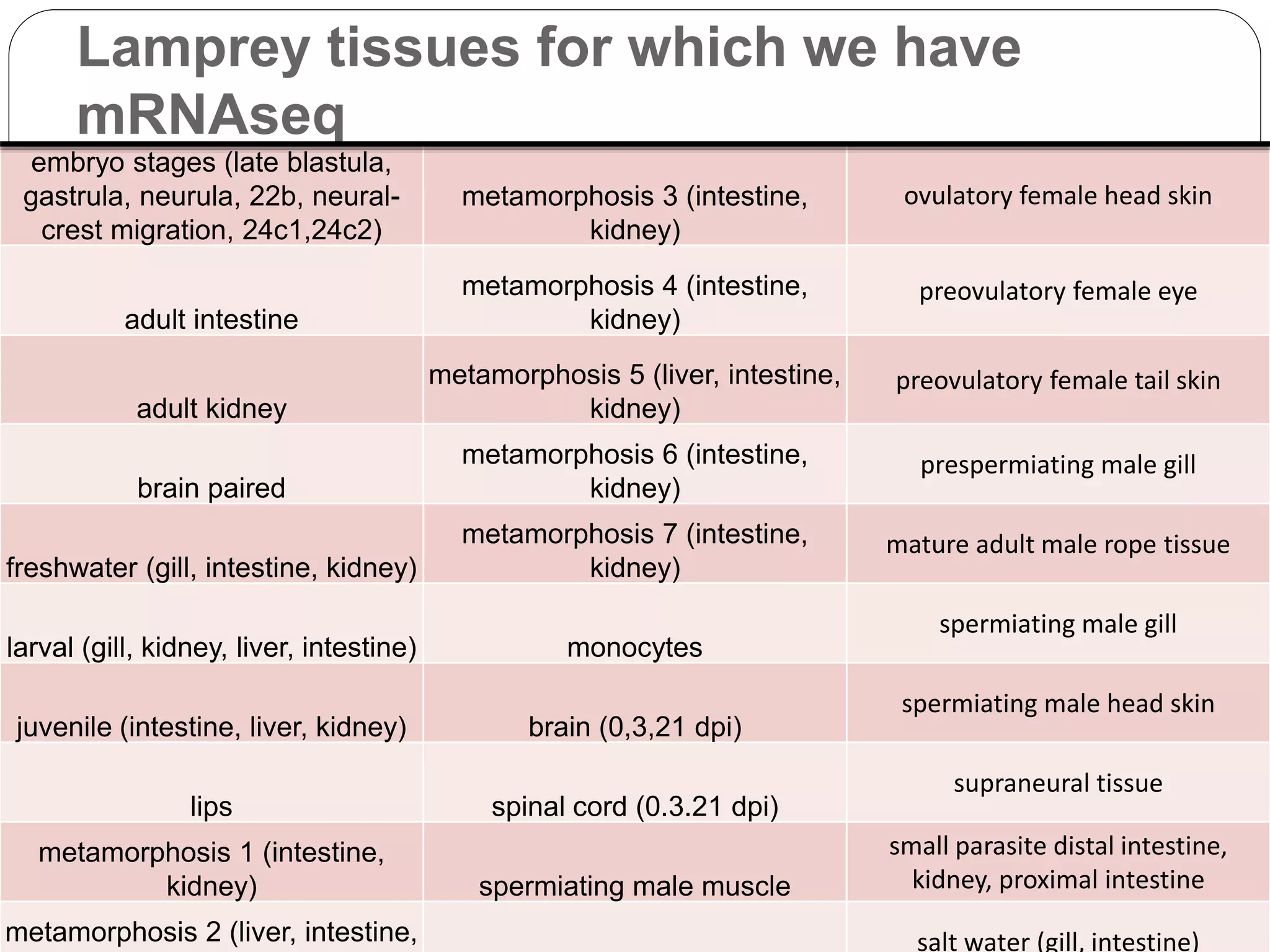 Lamprey tissues for which we have
mRNAseq
embryo stages (late blastula,
gastrula, neurula, 22b, neural-
crest migration, 24c1,24c2)
metamorphosis 3 (intestine,
kidney)
ovulatory female head skin
adult intestine
metamorphosis 4 (intestine,
kidney)
preovulatory female eye
adult kidney
metamorphosis 5 (liver, intestine,
kidney)
preovulatory female tail skin
brain paired
metamorphosis 6 (intestine,
kidney)
prespermiating male gill
freshwater (gill, intestine, kidney)
metamorphosis 7 (intestine,
kidney)
mature adult male rope tissue
larval (gill, kidney, liver, intestine) monocytes
spermiating male gill
juvenile (intestine, liver, kidney) brain (0,3,21 dpi)
spermiating male head skin
lips spinal cord (0.3.21 dpi)
supraneural tissue
metamorphosis 1 (intestine,
kidney) spermiating male muscle
small parasite distal intestine,
kidney, proximal intestine
metamorphosis 2 (liver, intestine, salt water (gill, intestine)
 
