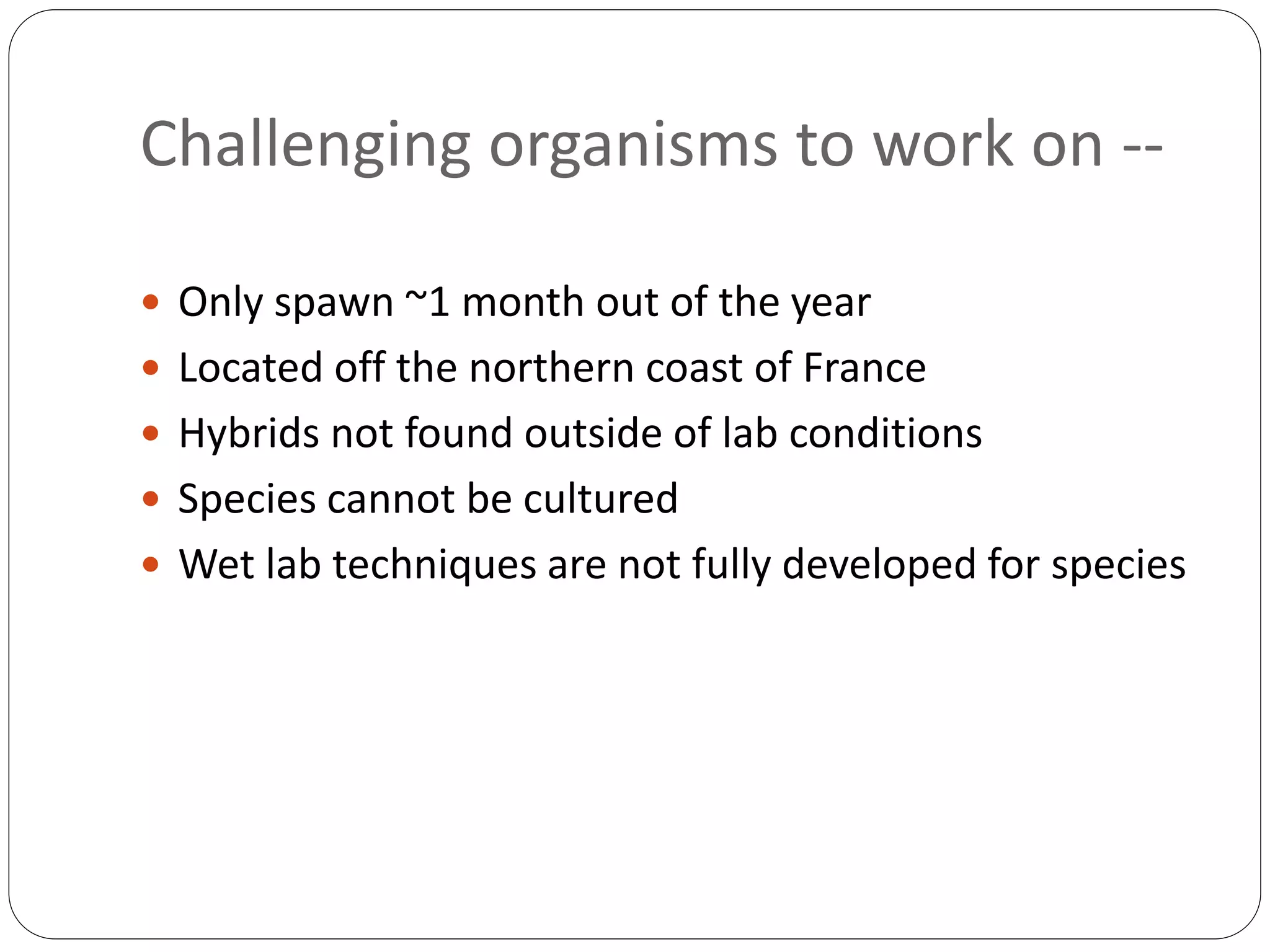 Challenging organisms to work on --
 Only spawn ~1 month out of the year
 Located off the northern coast of France
 Hybrids not found outside of lab conditions
 Species cannot be cultured
 Wet lab techniques are not fully developed for species
 