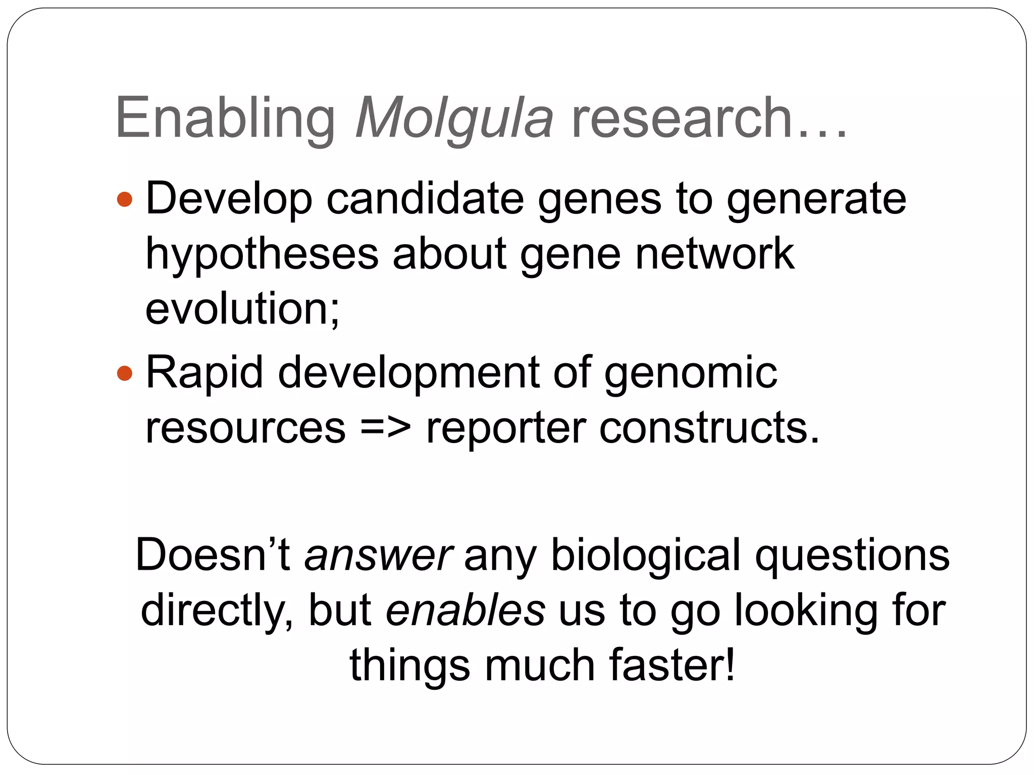 Enabling Molgula research…
 Develop candidate genes to generate
hypotheses about gene network
evolution;
 Rapid development of genomic
resources => reporter constructs.
Doesn’t answer any biological questions
directly, but enables us to go looking for
things much faster!
 