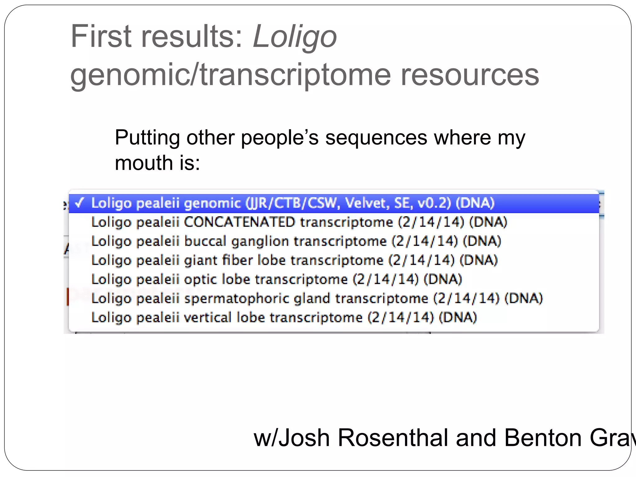 First results: Loligo
genomic/transcriptome resources
Putting other people’s sequences where my
mouth is:
w/Josh Rosenthal and Benton Grav
 