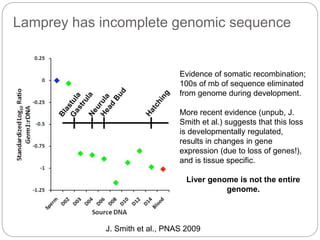 Lamprey has incomplete genomic sequence
J. Smith et al., PNAS 2009
Evidence of somatic recombination;
100s of mb of sequence eliminated
from genome during development.
More recent evidence (unpub, J.
Smith et al.) suggests that this loss
is developmentally regulated,
results in changes in gene
expression (due to loss of genes!),
and is tissue specific.
Liver genome is not the entire
genome.
 