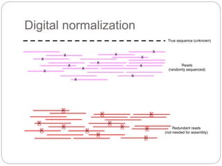 Digital normalization
 