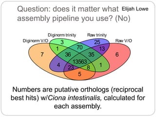 Question: does it matter what
assembly pipeline you use? (No)
3
70
25
1
36
13563
35
13
7
4 23 8 1
6
5
Diginorm V/O Raw V/O
Diginorm trinity Raw trinity
Numbers are putative orthologs (reciprocal
best hits) w/Ciona intestinalis, calculated for
each assembly.
Elijah Lowe
 