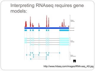 Interpreting RNAseq requires gene
models:
http://www.hitseq.com/images/RNA-seq_AS.jpg
 