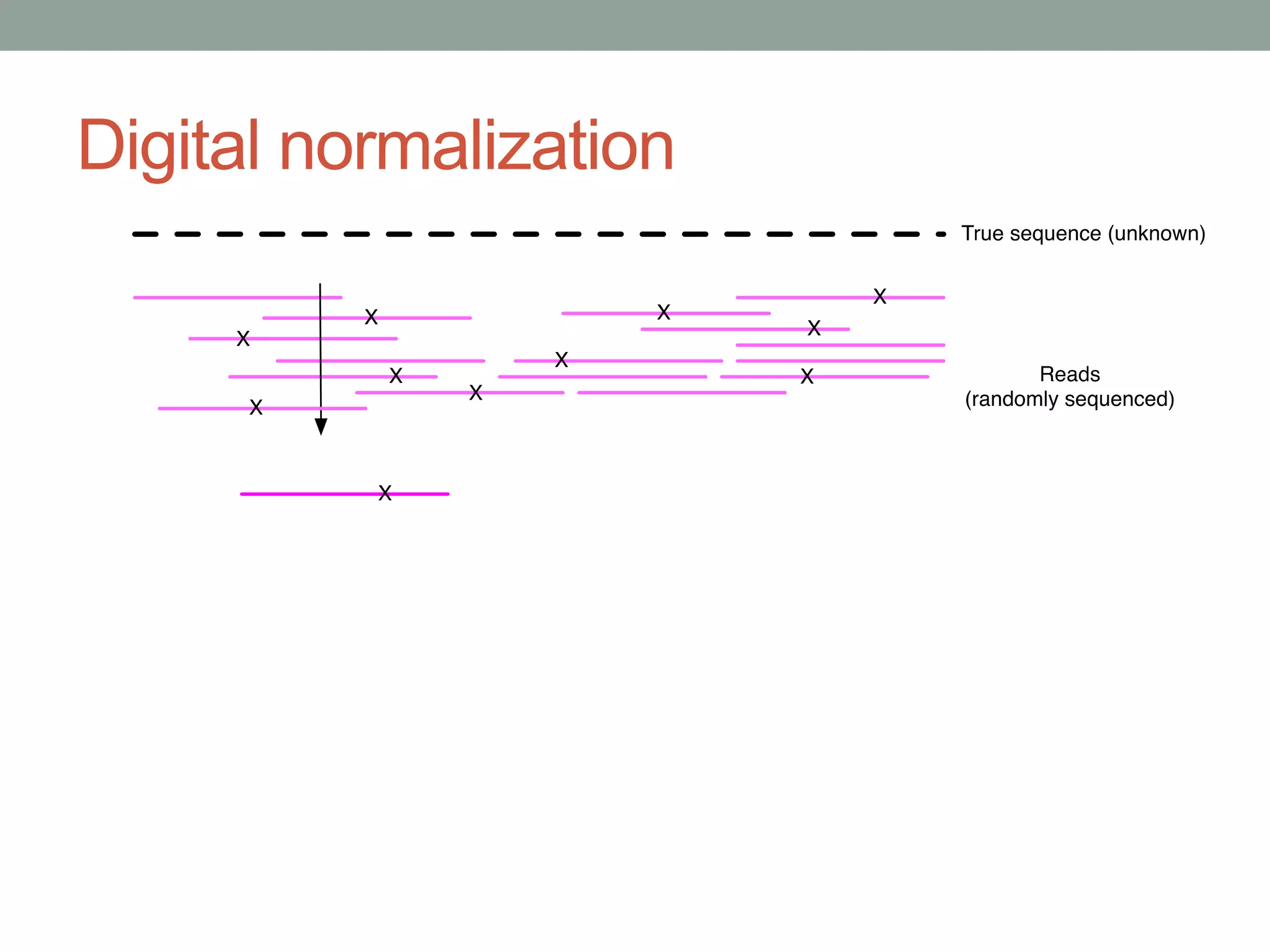 Digital normalization 
 