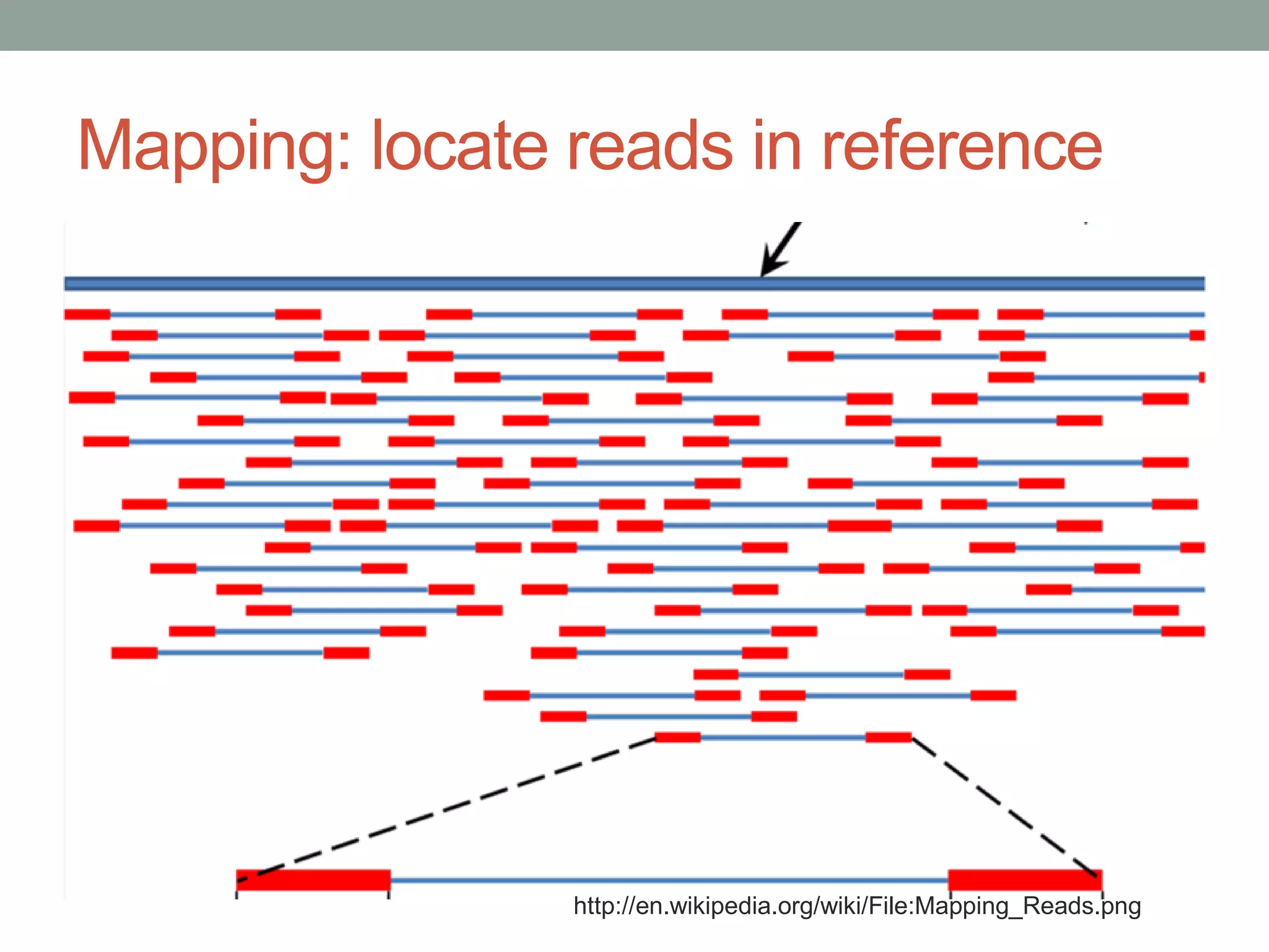 Mapping: locate reads in reference 
http://en.wikipedia.org/wiki/File:Mapping_Reads.png 
 