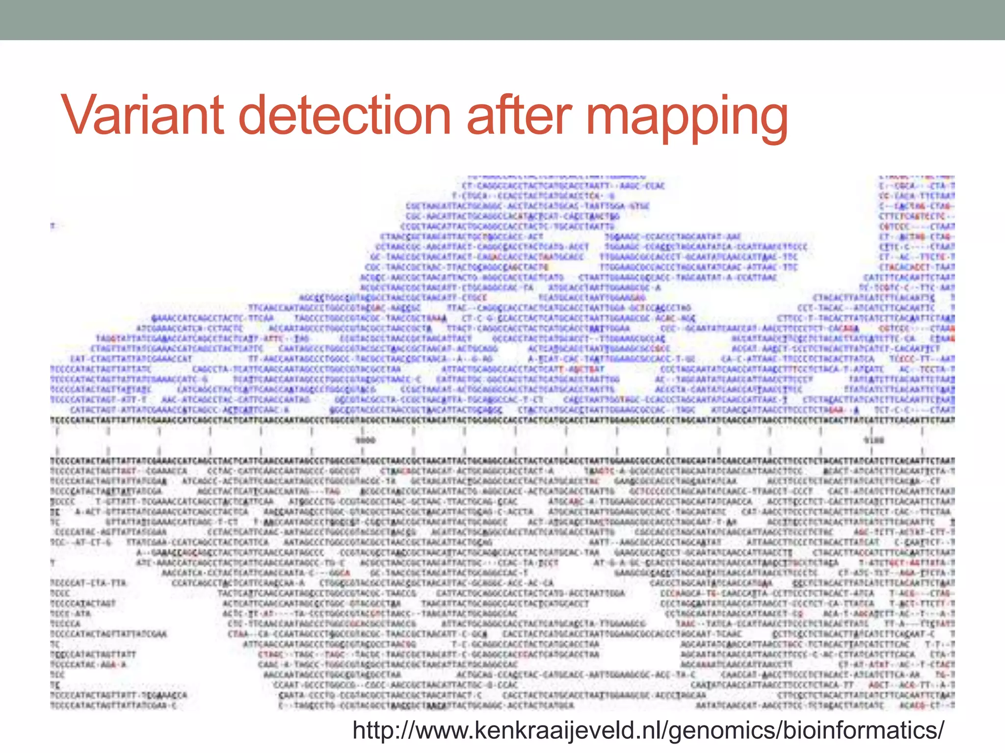 Variant detection after mapping 
http://www.kenkraaijeveld.nl/genomics/bioinformatics/ 
 