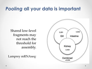 Shared low-level 
fragments may 
not reach the 
threshold for 
assembly. 
Lamprey mRNAseq: 
 