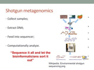 Shotgun metagenomics 
• Collect samples; 
• Extract DNA; 
• Feed into sequencer; 
• Computationally analyze. 
“Sequence it all and let the 
bioinformaticians sort it 
Wikipedia: Environmental shotgun 
sequencing.png 
out” 
 