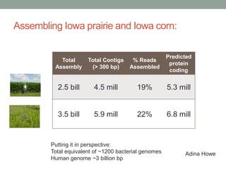 Assembling Iowa prairie and Iowa corn: 
Total 
Assembly 
Total Contigs 
(> 300 bp) 
% Reads 
Assembled 
Putting it in perspective: 
Total equivalent of ~1200 bacterial genomes 
Human genome ~3 billion bp 
Predicted 
protein 
coding 
2.5 bill 4.5 mill 19% 5.3 mill 
3.5 bill 5.9 mill 22% 6.8 mill 
Adina Howe 
 