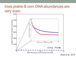 Iowa prairie & corn DNA abundances are 
very even. 
Corn Prairie 
Howe et al., 2014 
 
