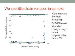We see little strain variation in sample. 
Top two allele frequencies 
Position within contig 
Can measure 
by read 
mapping. 
Of 5000 most 
abundant 
contigs, only 1 
has a 
polymorphism 
rate > 5% 
 