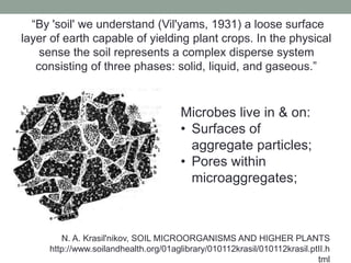 “By 'soil' we understand (Vil'yams, 1931) a loose surface 
layer of earth capable of yielding plant crops. In the physical 
N. A. Krasil'nikov, SOIL MICROORGANISMS AND HIGHER PLANTS 
http://www.soilandhealth.org/01aglibrary/010112krasil/010112krasil.ptII.h 
tml 
sense the soil represents a complex disperse system 
consisting of three phases: solid, liquid, and gaseous.” 
Microbes live in & on: 
• Surfaces of 
aggregate particles; 
• Pores within 
microaggregates; 
 