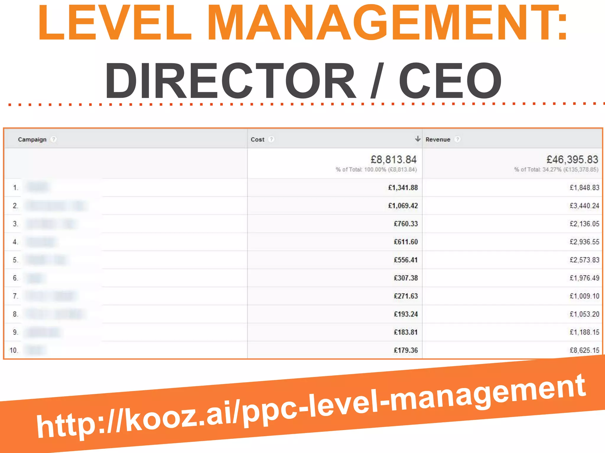 LEVEL MANAGEMENT:
DIRECTOR / CEO

 