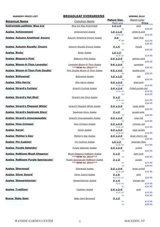 Botanical Name Common Name
Mature Size
000Plant size
Bloom Color 0
000 0000 Price
Andromeda polifolia 'Blue Ice' Blue Ice Bog Andromeda 001-2' x 3' pink
Andromeda polifolia 'Blue Ice' #2 $36.95
Azalea 'Achievement' Achievement Azalea 001.5' x 1.5' white & pink
Azalea 'Achievement' #2 8-10" $14.95
Azalea 'Autumn Amethyst' Encore Autumn Amethyst Encore Azalea 003-4' Dark Pink
Azalea 'Autumn Amethyst' Encore #08" pot $22.95
Azalea 'Autumn Amethyst' Encore #3 $39.95
Azalea 'Autumn Royalty' Encore Autumn Royalty Encore Azalea 004' x 4' Purple
Azalea 'Autumn Royalty' Encore #3 $39.95
Azalea 'Bixby' Bixby Azalea 001.5' x 2'
Azalea 'Bixby' #2 8-10" $14.95
Azalea 'Blaauw's Pink' Blaauw's Pink Azalea 002-4' x 2-4' salmon-pink
Azalea 'Blaauw's Pink' #2 $26.95
Azalea 'Bloom-A-Thon Lavender' Lavender Bloom-A-Thon Azalea 005-6' x 3-4' Lavender
Azalea 'Bloom-A-Thon Lavender' ***NEW for 2014*** #2 $39.95
Azalea 'Bloom-A-Thon Pink Double' Pink Double Bloom-A-Thon Azalea 004-5' x 4-5' double-pink
Azalea 'Bloom-A-Thon Pink Double' #2 $39.95
Azalea 'Bollywood' Bollywood Azalea 001.5' x 1.5' red
Azalea 'Bollywood' #2 $26.95
Azalea 'Ellie Harris' Ellie Harris Azalea 002-3' x 2-3' shell pink
Azalea 'Ellie Harris' #2 8-10" $14.95
Azalea 'Girard's Fuchsia' Girard's Fuchsia Azalea 002-4' x 2-4' frilled purple-red
Azalea 'Girard's Fuchsia' #2 8-10" $14.95
Azalea 'Girard's Fuchsia' #3 $34.95
Azalea 'Girard's Hot Shot' Girard's Hot Shot Azalea 003' x 3'
Azalea 'Girard's Hot Shot' #2 8-10" $14.95
Azalea 'Girard's Hot Shot' #3 $34.95
Azalea 'Girard's Pleasant White' Girard's Pleasant White Azalea 002-4' x 2-4' large white
Azalea 'Girard's Pleasant White' #2 $26.95
Azalea 'Girard's Saybrook Glory' Saybrook Glory Azalea 003' x 3' purple-pink
Azalea 'Girard's Saybrook Glory' #3 $34.95
Azalea 'Girard's Unsurpassable' Girard's Unsurpassable Azalea 002-4' x 2-4' rose-red
Azalea 'Girard's Unsurpassable' #3 $34.95
Azalea 'Hino Crimson' Hino Crimson Azalea 002-3' x 2-3' crimson red
Azalea 'Hino Crimson' #2 8-10" $14.95
Azalea 'Karen' Karen Azalea 002-3' x 3-4' clear purple
Azalea 'Karen' #2 8-10" $14.95
Azalea 'Mother's Day' Mother's Day Azalea 002-3' x 2-3' large cherry red
Azalea 'Mother's Day' #3 $34.95
Azalea 'Pin Cushion' Pin Cushion Azalea 001.5' x 2' lavender-blue
Azalea 'Pin Cushion' #2 8-10" $14.95
Azalea 'Purple Splendor' Purple Splendor Azalea 002-4' x 2-4' orchid
Azalea 'Purple Splendor' #3 $34.95
Azalea 'ReBloom Blush Elegance' Blush Elegance ReBloom Azalea 002' x 3' light pink
Azalea ReBloom 'Blush Elegance' ***NEW for 2014*** #3 $39.95
Azalea 'ReBloom Purple Spectacular' Purple Spectacular ReBloom Azalea 002' x 3' purple
Azalea ReBloom 'Purple Spectacular' ***NEW for 2014*** #1 $14.95
Azalea ReBloom 'Purple Spectacular' #3 $39.95
Azalea 'Sherwood' Sherwood Azalea 002-3' x 3-4' large orchid
Azalea 'Sherwood' #2 8-10" $14.95
Azalea 'Silver Sword' Silver Sword Azalea 003' x 5' pink
Azalea 'Silver Sword' #2.5 10-12" $24.95
Azalea 'Stewartstonian' Stewartstonian Azalea 004' x 4' orange-red
Azalea 'Stewartstonian' #2 8-10" $14.95
Azalea 'Stewartstonian' #3 $34.95
Azalea 'Tradition' Tradition Azalea 002-4' x 2-4' pink
Azalea 'Tradition' #2 8-10" $14.95
Azalea 'Tradition' #3 $34.95
Buxus 'Baby Gem' Baby Gem Boxwood 003' x 3'
Buxus 'Baby Gem' #1 $12.95
Buxus 'Baby Gem' #3 $39.95
NURSERY PRICE LIST BROADLEAF EVERGREENS SPRING 2014
WAYSIDE GARDEN CENTER 1 MACEDON, NY
 