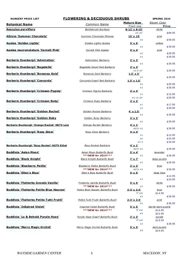 Rochester Landscaping, Nursery Plants Plants Price List