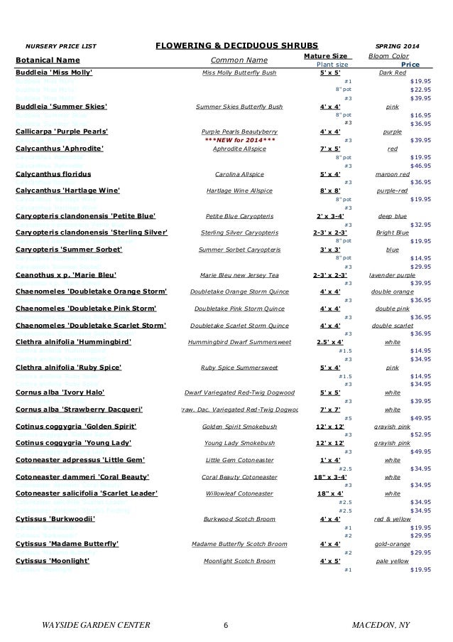 Rochester Landscaping, Nursery Plants Plants Price List