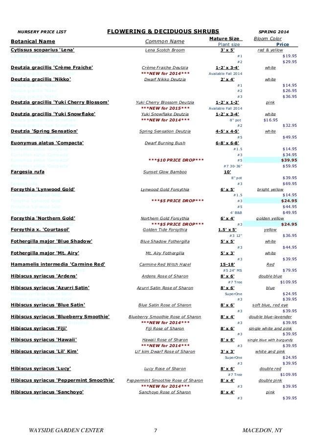 Rochester Landscaping, Nursery Plants Plants Price List