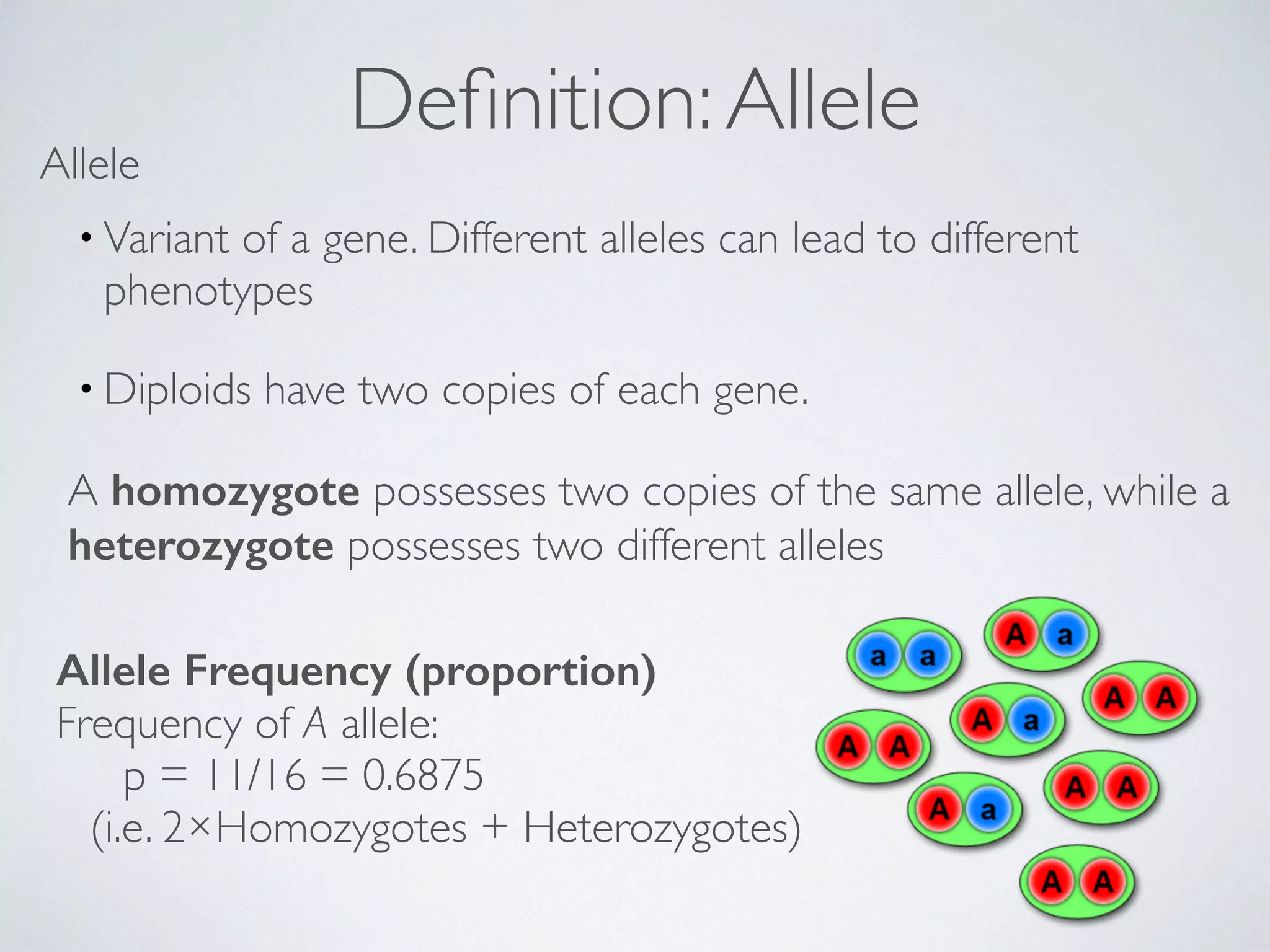 Definition: Allele Allele 
• Variant of a gene. Different alleles can lead to different 
phenotypes 
•Diploids have two copies of each gene. 
A homozygote possesses two copies of the same allele, while a 
heterozygote possesses two different alleles 
Allele Frequency (proportion) 
Frequency of A allele: 
p = 11/16 = 0.6875 
(i.e. 2×Homozygotes + Heterozygotes) 
 
