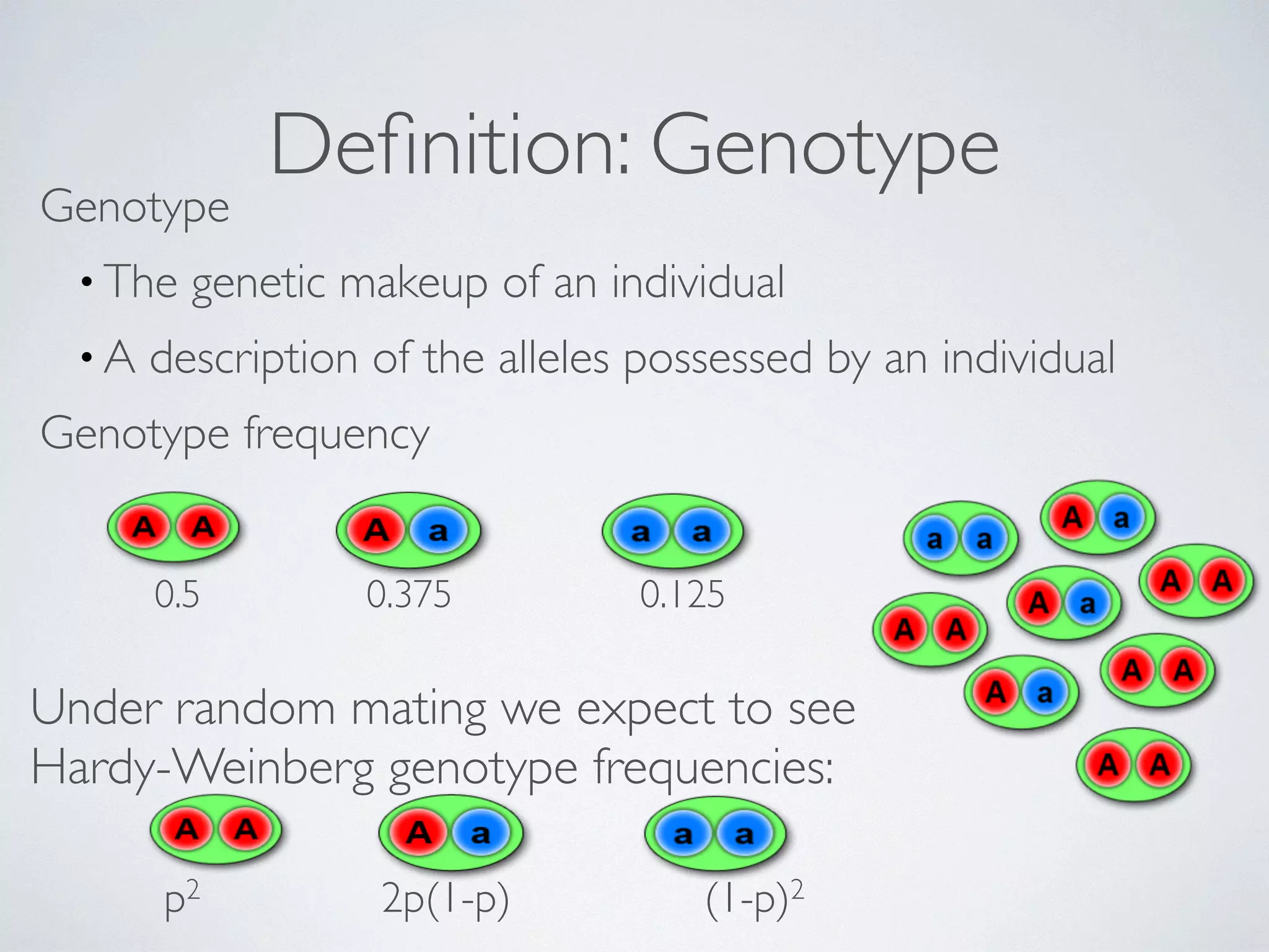Definition: Genotype Genotype 
•The genetic makeup of an individual 
• A description of the alleles possessed by an individual 
Genotype frequency 
0.5 0.375 0.125 
Under random mating we expect to see 
Hardy-Weinberg genotype frequencies: 
p2 2p(1-p) (1-p)2 
 