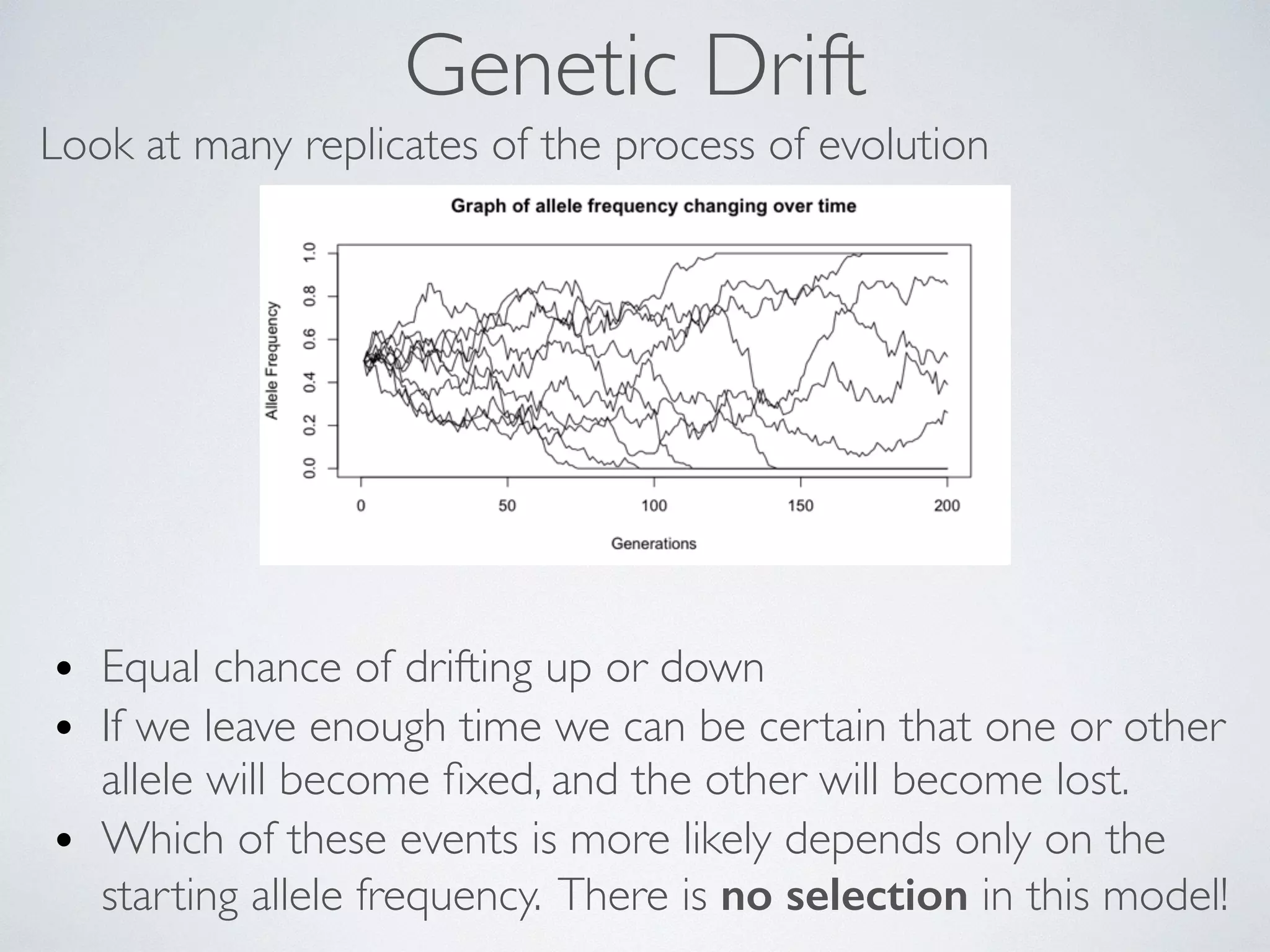Genetic Drift 
Look at many replicates of the process of evolution 
• Equal chance of drifting up or down 
• If we leave enough time we can be certain that one or other 
allele will become fixed, and the other will become lost. 
• Which of these events is more likely depends only on the 
starting allele frequency. There is no selection in this model! 
 
