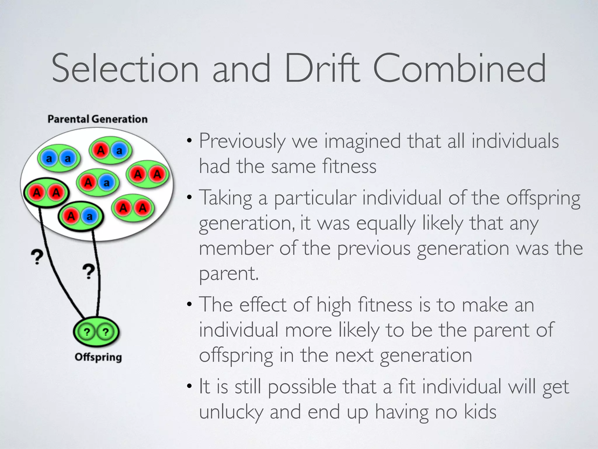 Selection and Drift Combined 
• Previously we imagined that all individuals 
had the same fitness 
• Taking a particular individual of the offspring 
generation, it was equally likely that any 
member of the previous generation was the 
parent. 
• The effect of high fitness is to make an 
individual more likely to be the parent of 
offspring in the next generation 
• It is still possible that a fit individual will get 
unlucky and end up having no kids 
 