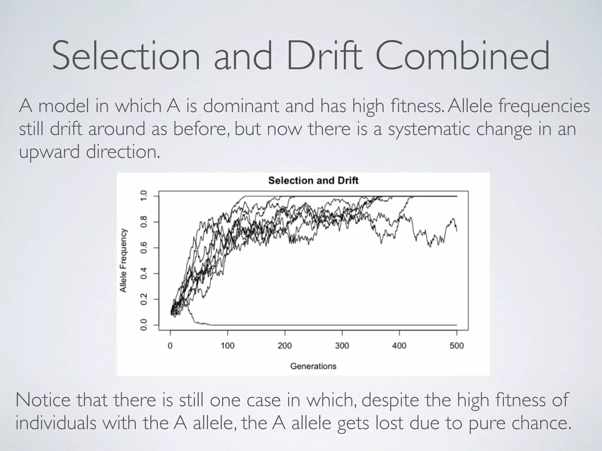 Selection and Drift Combined 
A model in which A is dominant and has high fitness. Allele frequencies 
still drift around as before, but now there is a systematic change in an 
upward direction. 
Notice that there is still one case in which, despite the high fitness of 
individuals with the A allele, the A allele gets lost due to pure chance. 
 